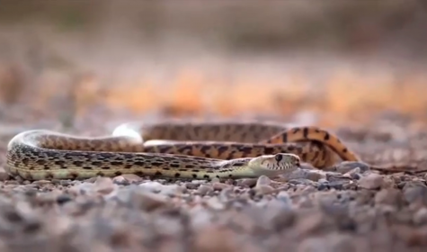 Screen Shot 2019-04-11 at 13.54.47