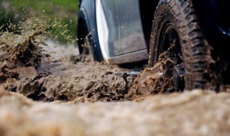 810070129_640 810070129_640